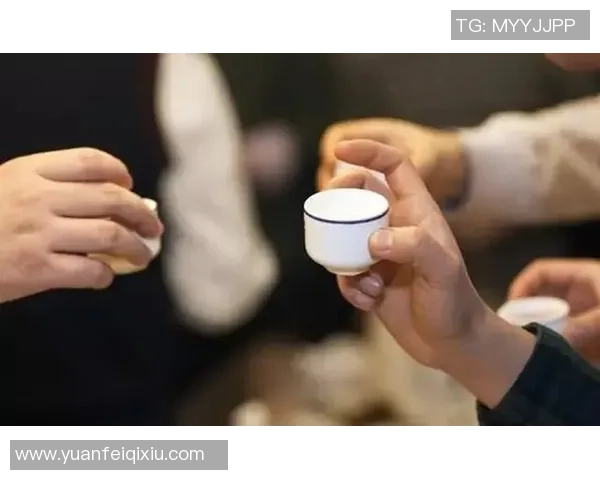 武汉排球队反击战术分析与成败得失的深度剖析